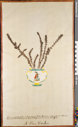 LE 01084475