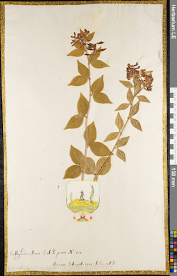 LE 01084522
