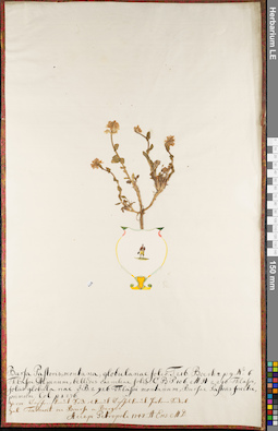 LE 01084533