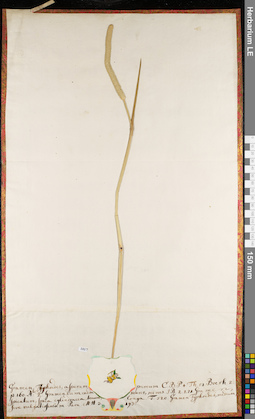 LE 01084569