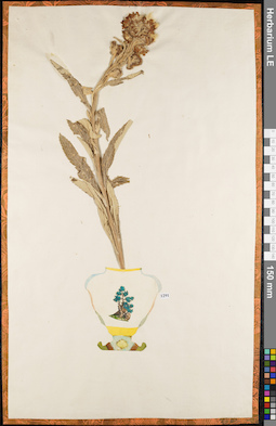 LE 01062682