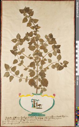 LE 01062683