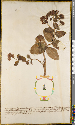 LE 01062692