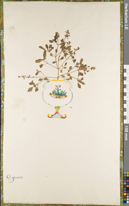 LE 01062694