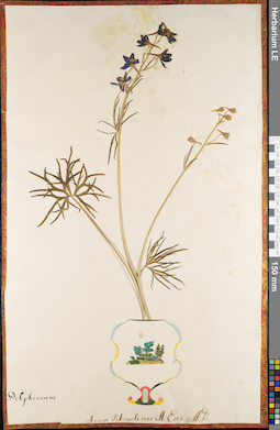 LE 01062726