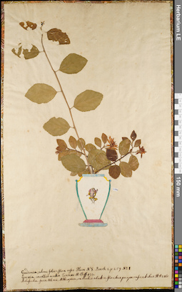 LE 01062729