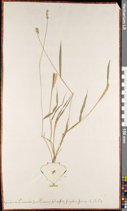 LE 01062739