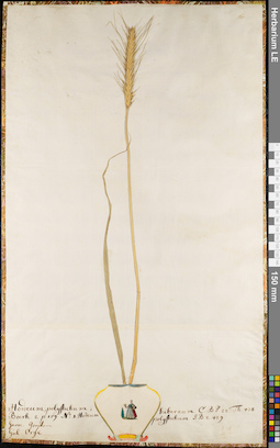 LE 01062743