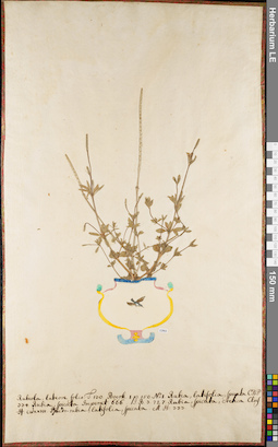 LE 01062757