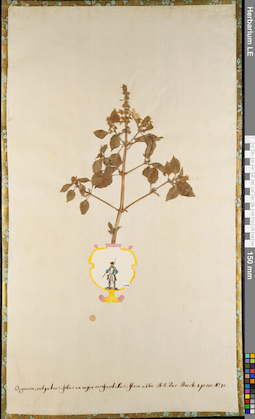 LE 01062760