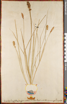 LE 01062791