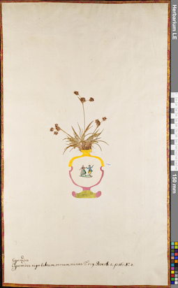 LE 01062793