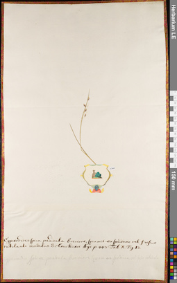LE 01062796