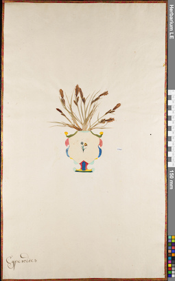 LE 01062797