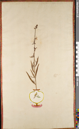 LE 01084256