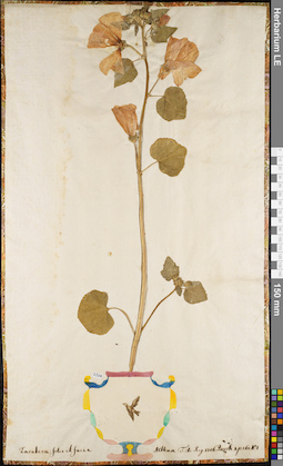 LE 01084286