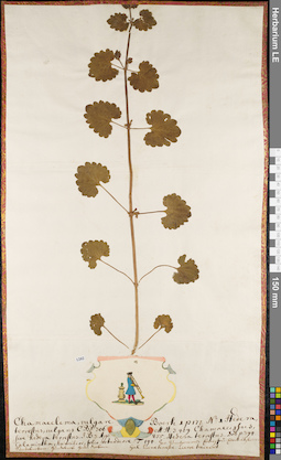 LE 01084293