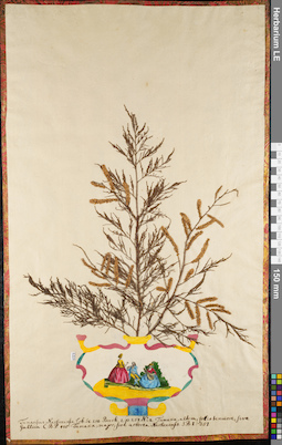LE 01084370