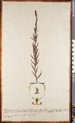 LE 01084374