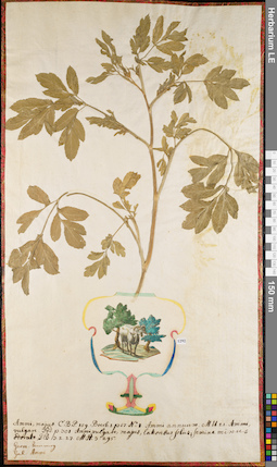 LE 01084397