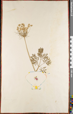 LE 01084400