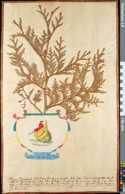 LE 01052704