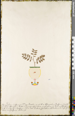 LE 01052714