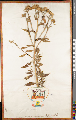 LE 01052732