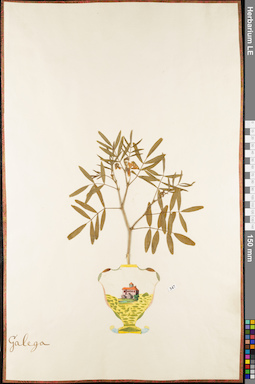 LE 01052745