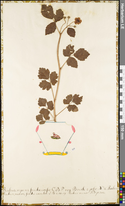 LE 01052757