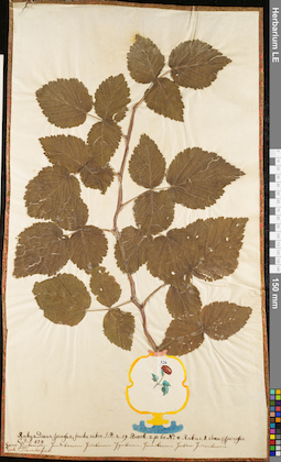 LE 01052758