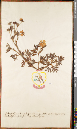 LE 01052759