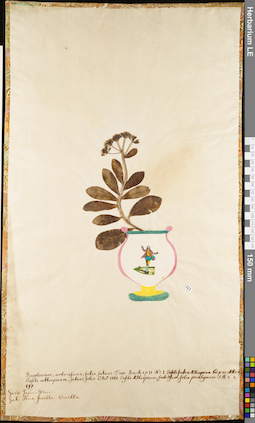 LE 01052763