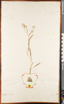 LE 01052764