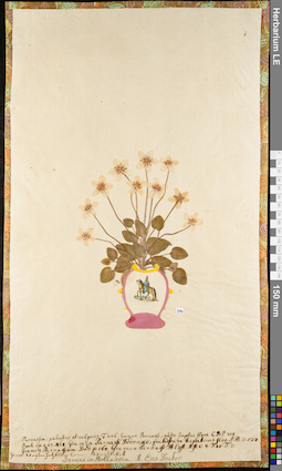 LE 01052877