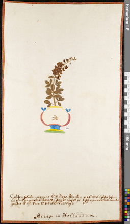 LE 01052916