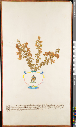 LE 01052917