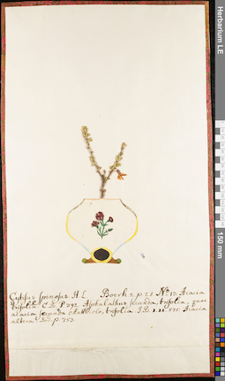 LE 01052920