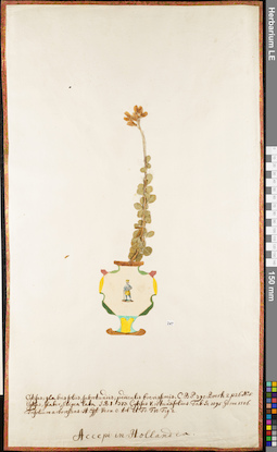 LE 01052922