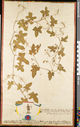LE 01052933