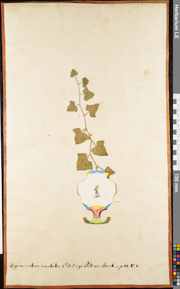 LE 01052934