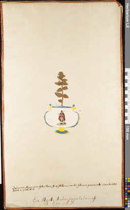 LE 01052942