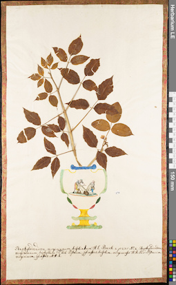 LE 01052992