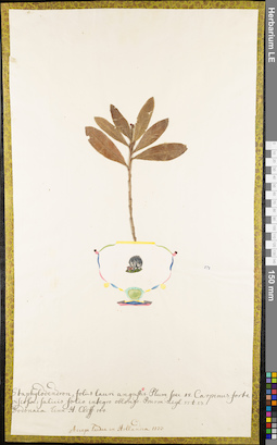 LE 01052995