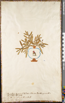 LE 01062535
