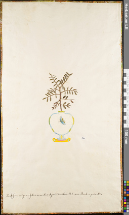 LE 01062537