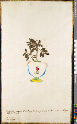 LE 01062538