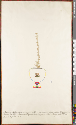 LE 01062541