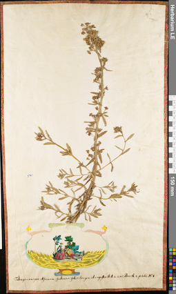 LE 01062545