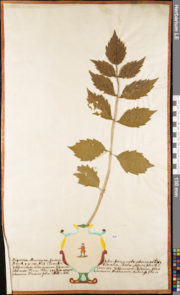 LE 01062548